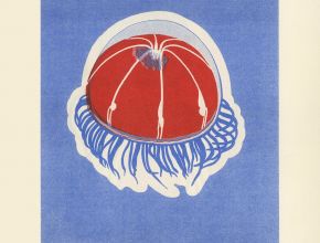 Anna Niklová: RISO