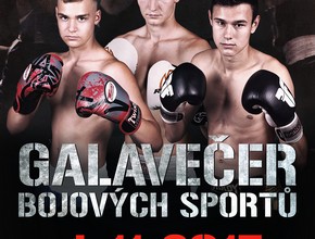 Galavečer bojových sportů 2017